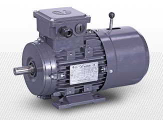 На лапах з тормозом 3 фази (380В) 6 полюсів (850 об/хв)