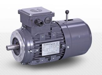 З фланцем і тормозом 3 фази (380В) 6 полюсів (850 об/хв)