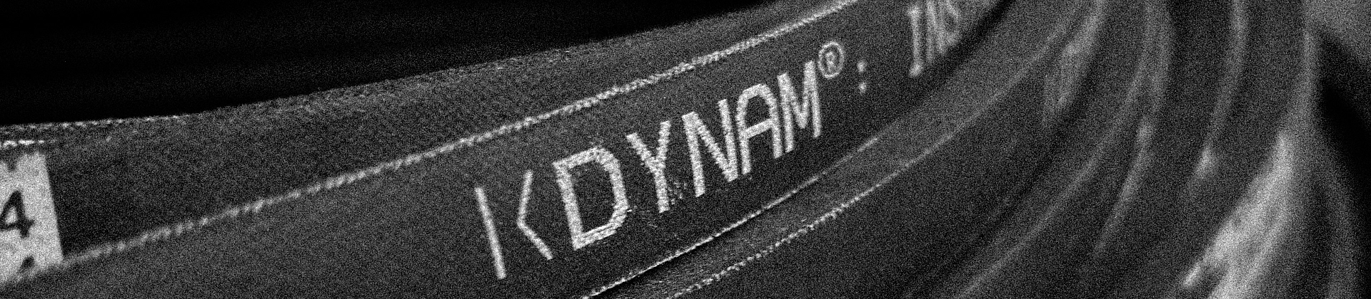 Dynam